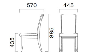 プロテアMサイズ