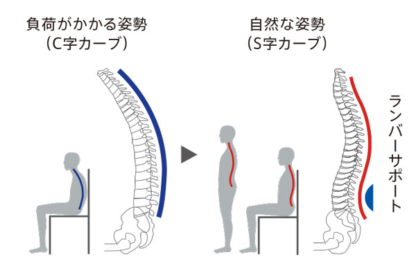 正しい姿勢へ導く背もたれ