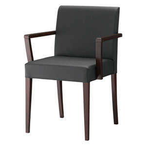 リーブルアームイスⅡA