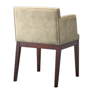 ザップ右アームイス