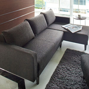 シェスタ右アーム