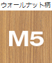 M5