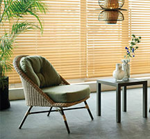 カンブリス（既製品）